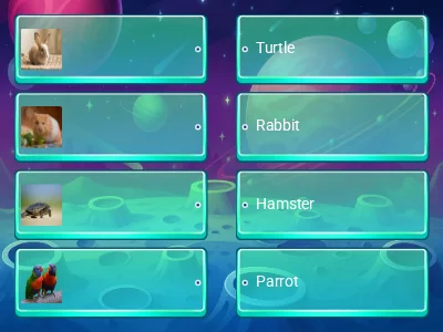 Animals for starter - part 3