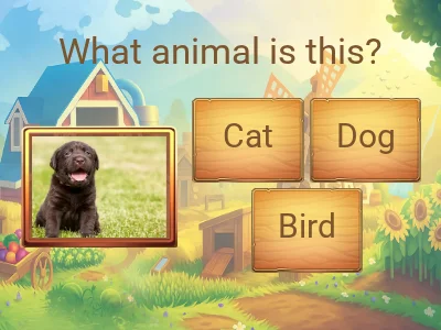 Animals – Grade 2