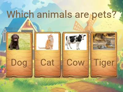 Animals – Grade 3