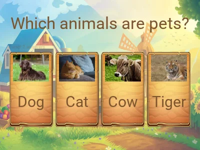 Animals – Grade 3