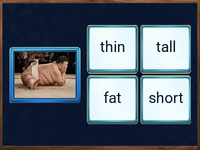 Adjectives (old/young; short/tall; fat/thin; happy/sad; ugly/beautiful)