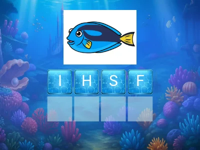 Under the Sea Animals