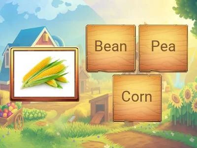 Vegetables - Grade 1