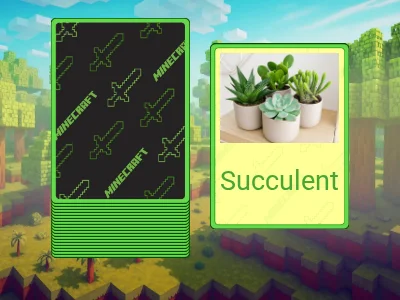 House Plants - Grade 2